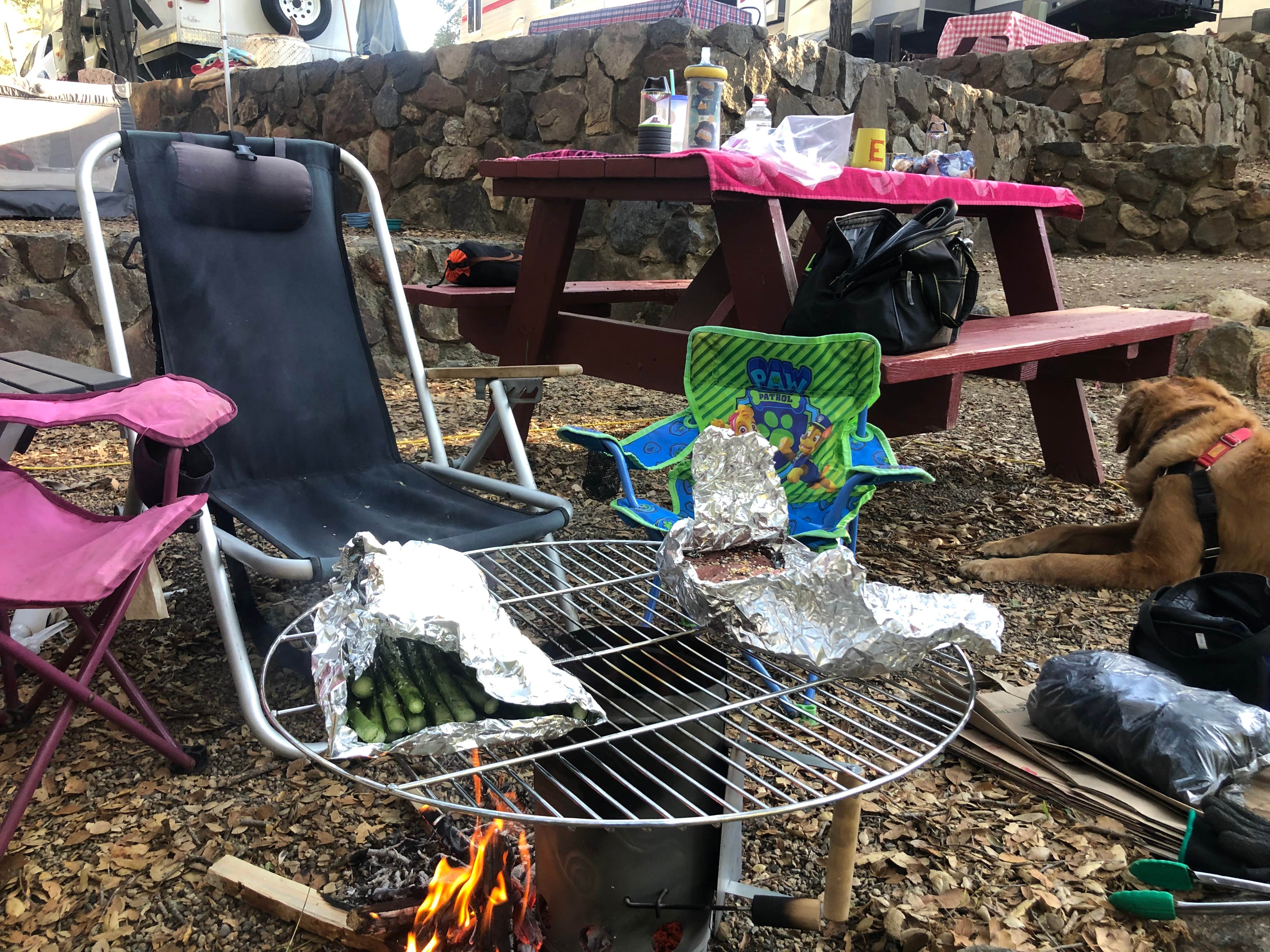 Chad M.'s photo of camping with pets at Woods Valley Kampground near Cleveland National Forest