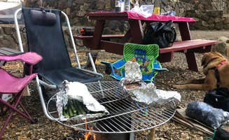 Chad M.'s photo of camping with pets at Woods Valley Kampground near Cleveland National Forest