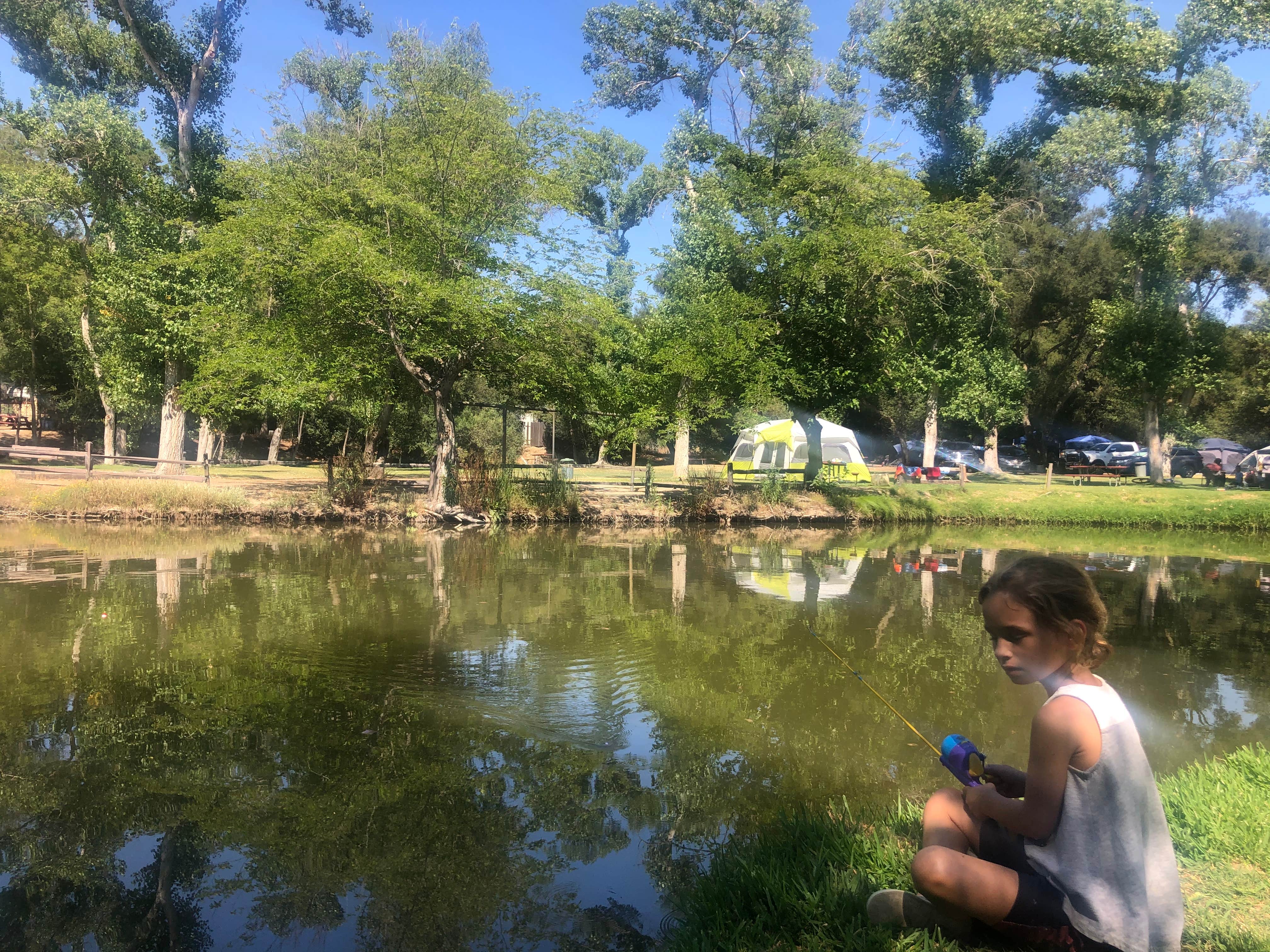 Camper submitted image from Woods Valley Kampground - 5