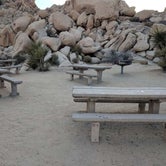 Review photo of Indian Cove Campground — Joshua Tree National Park by Treavor U., July 2, 2021