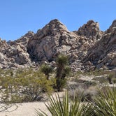 Review photo of Indian Cove Campground — Joshua Tree National Park by Treavor U., July 2, 2021