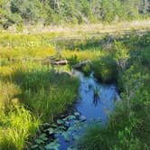 Review photo of Fred Gannon Rocky Bayou State Park Campground by Stephanie T., July 17, 2016