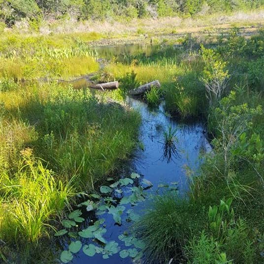 Escape to Paradise: Unwind at Fred Gannon Rocky Bayou State Park