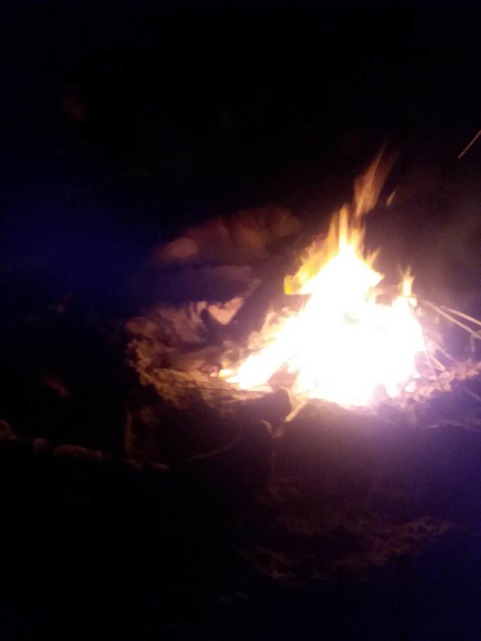 Logan T.'s photo at Cape Lookout State Park Campground near Bay City, OR