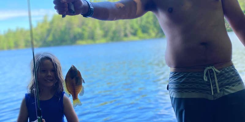 Camper submitted image from Rollins Pond Campground