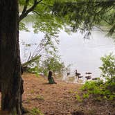 Review photo of Rollins Pond Campground by surfycampers , July 2, 2021