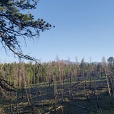 Burn site view from campground