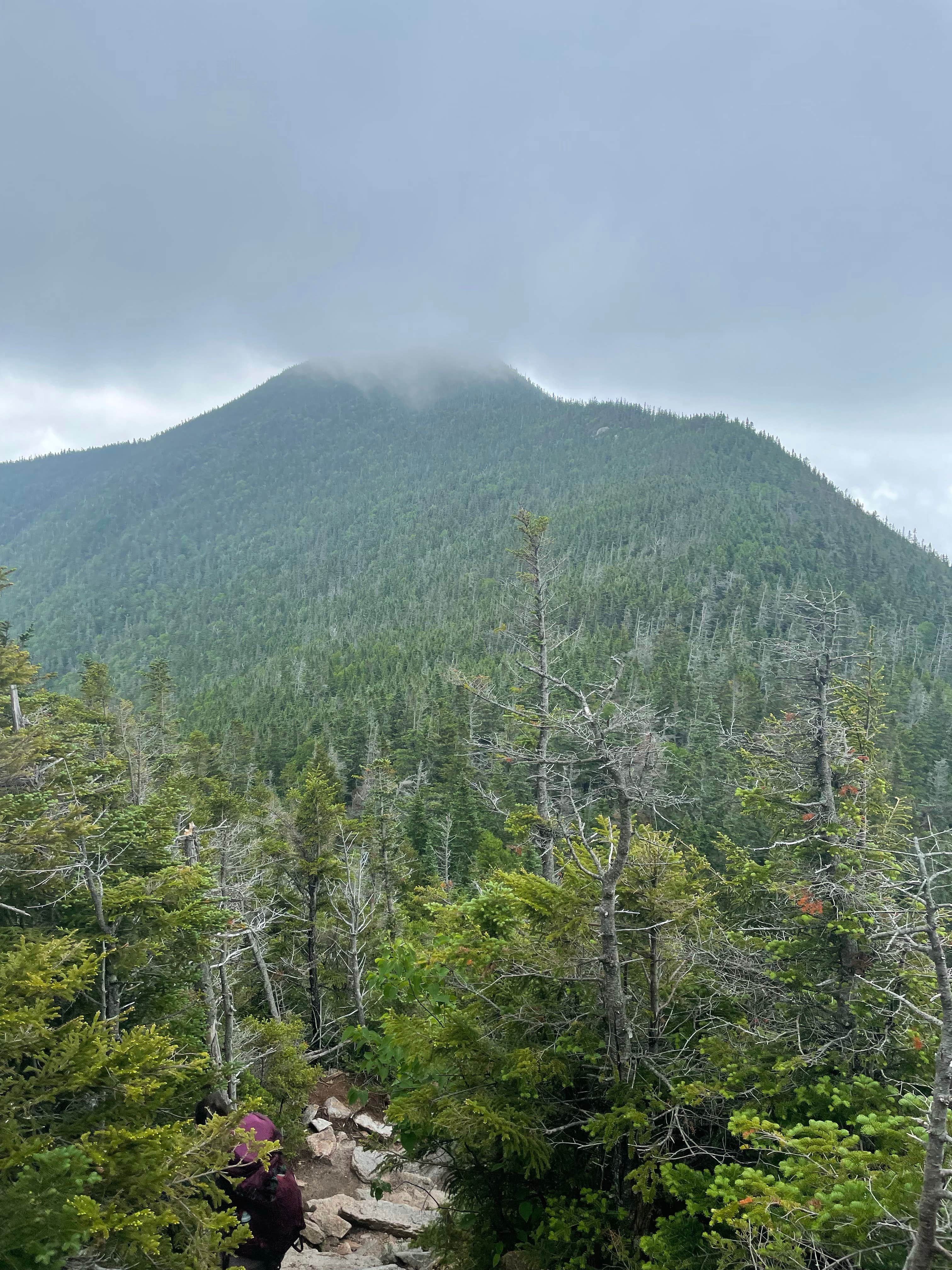 Campton Campground The Dyrt