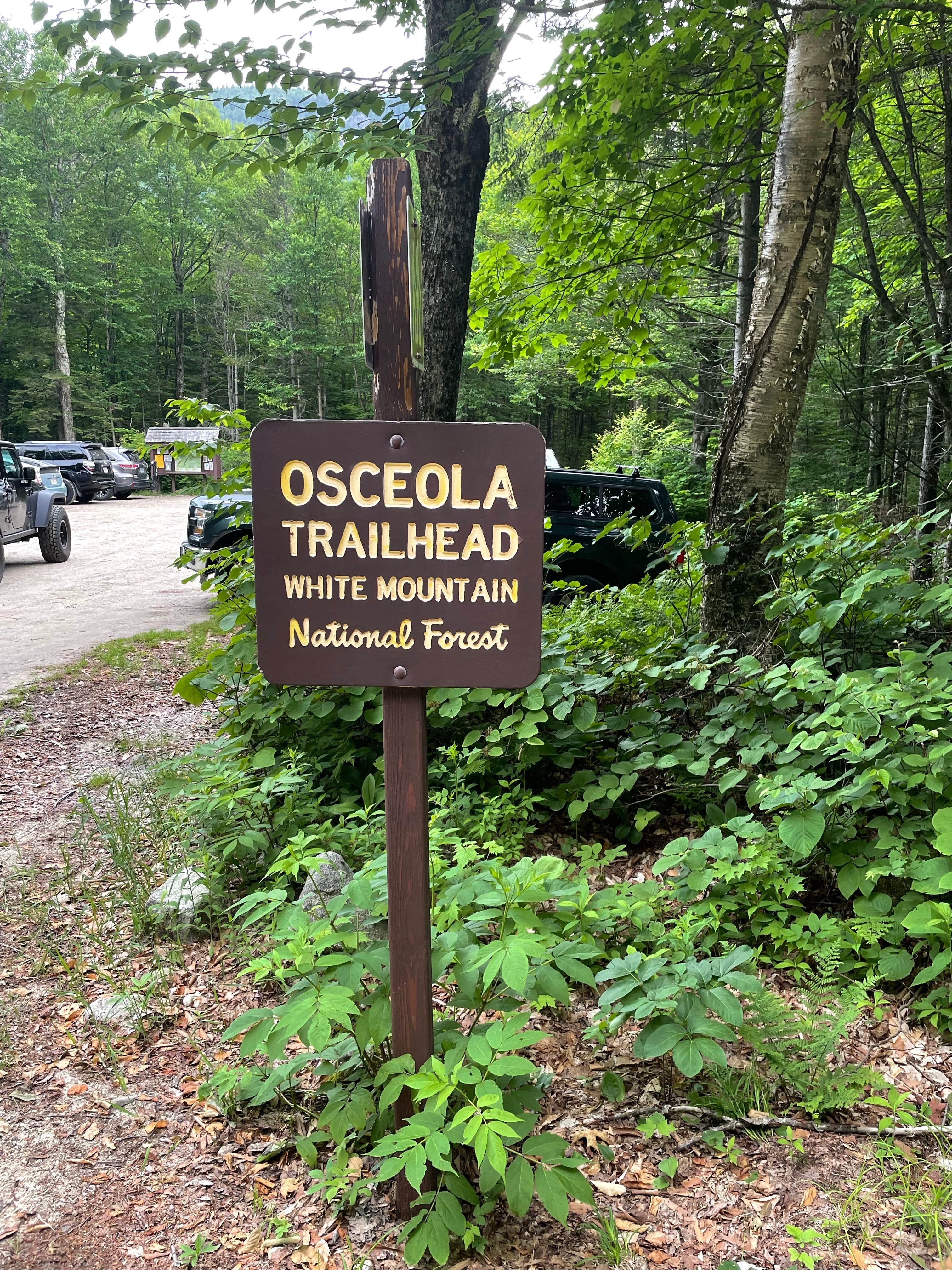 Campton Campground The Dyrt