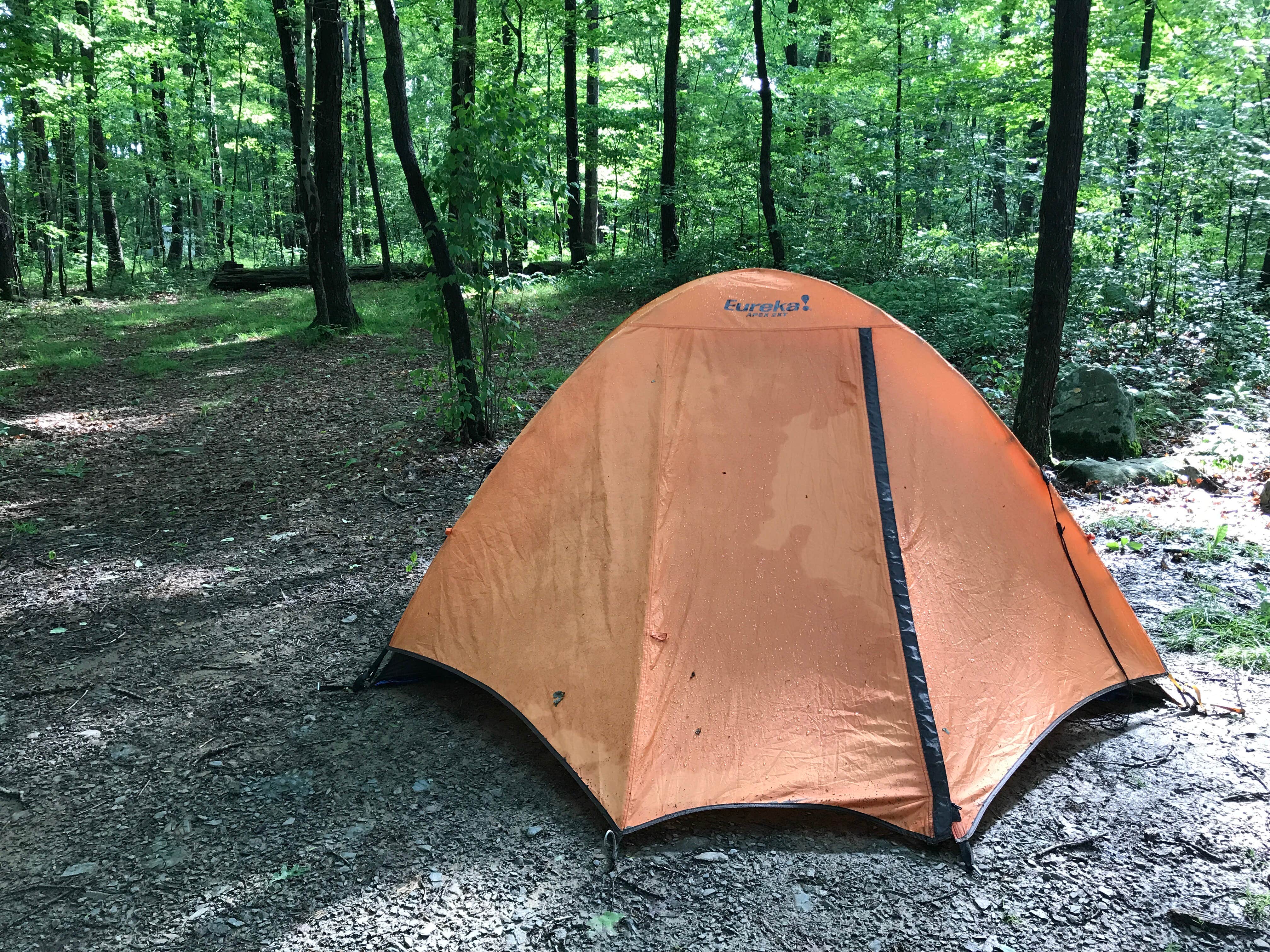 Ashleigh M.'s photo of tent camping at Laurel Ridge State Park Campground near Brownfield, PA