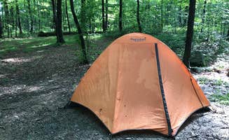 Ashleigh M.'s photo of tent camping at Laurel Ridge State Park Campground near Rices Landing, PA
