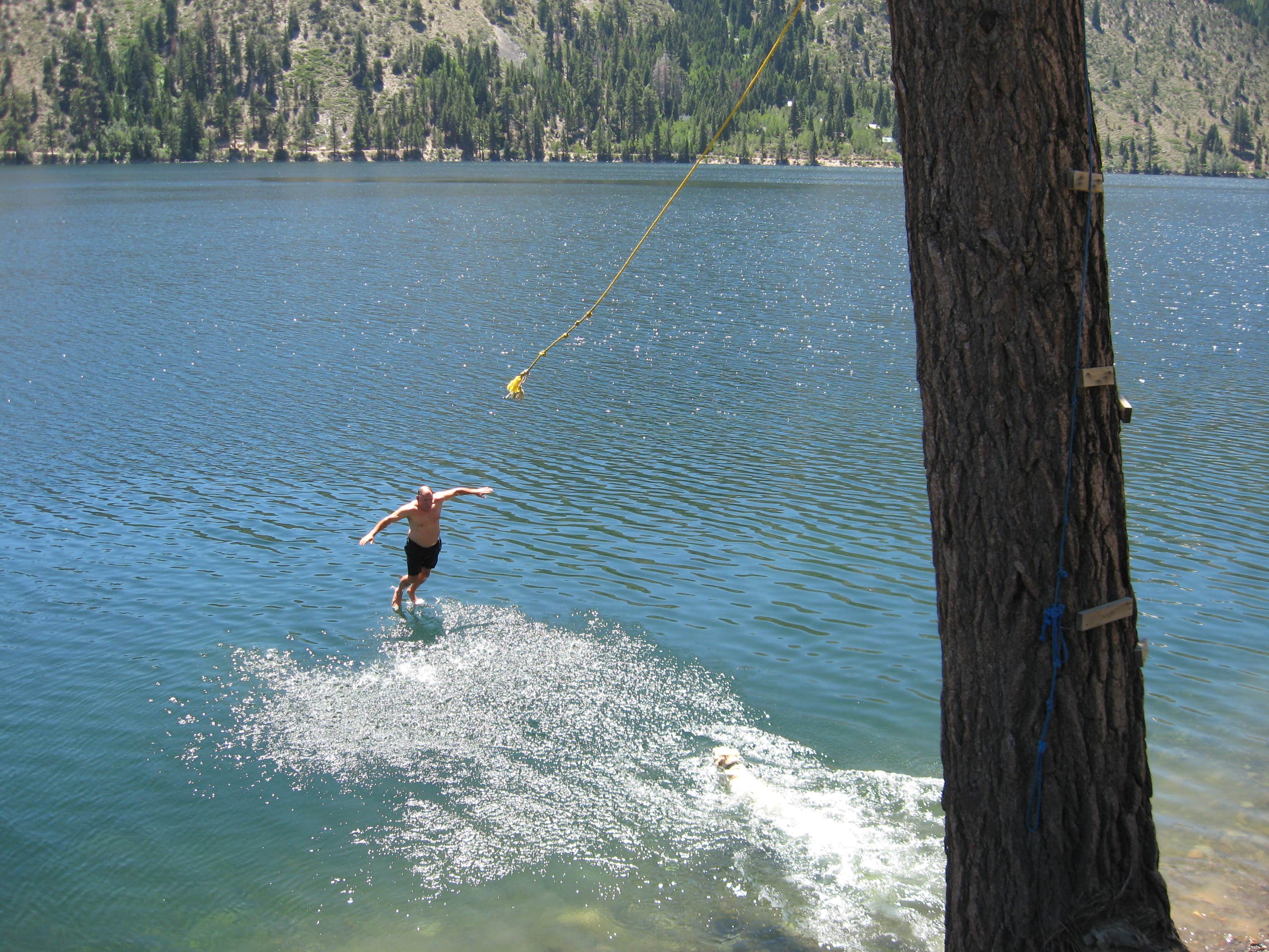 Twin Lakes Campground The Dyrt   California Twin Lakes Campground 8a8ba992f8c395516eb54d867f762f9c 