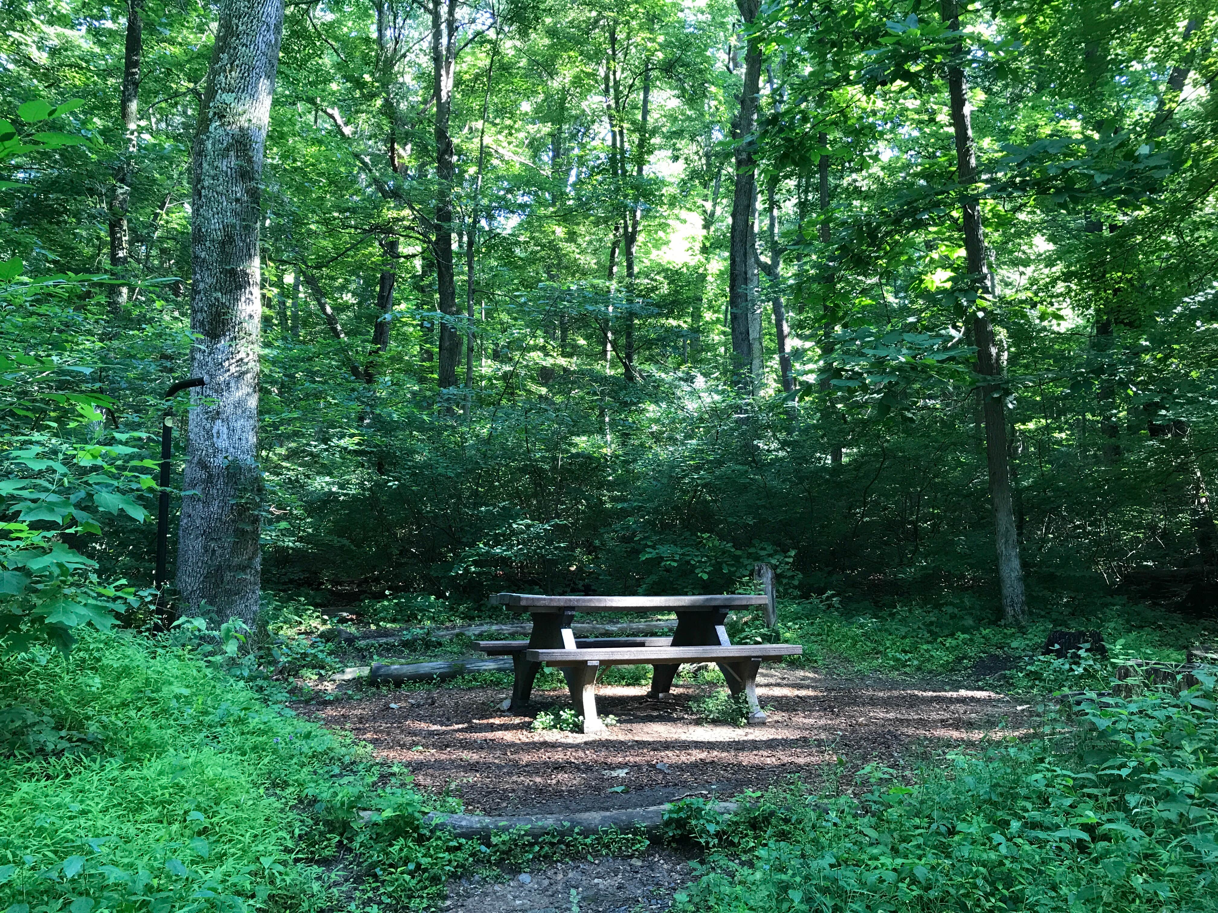 Camper submitted image from Owens Creek Campground — Catoctin Mountain Park - 4
