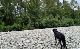 Corey O.'s photo of camping with pets at Bogachiel State Park Campground near La Push, WA