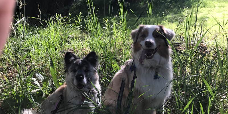 Camper submitted image from Box Elder Campground