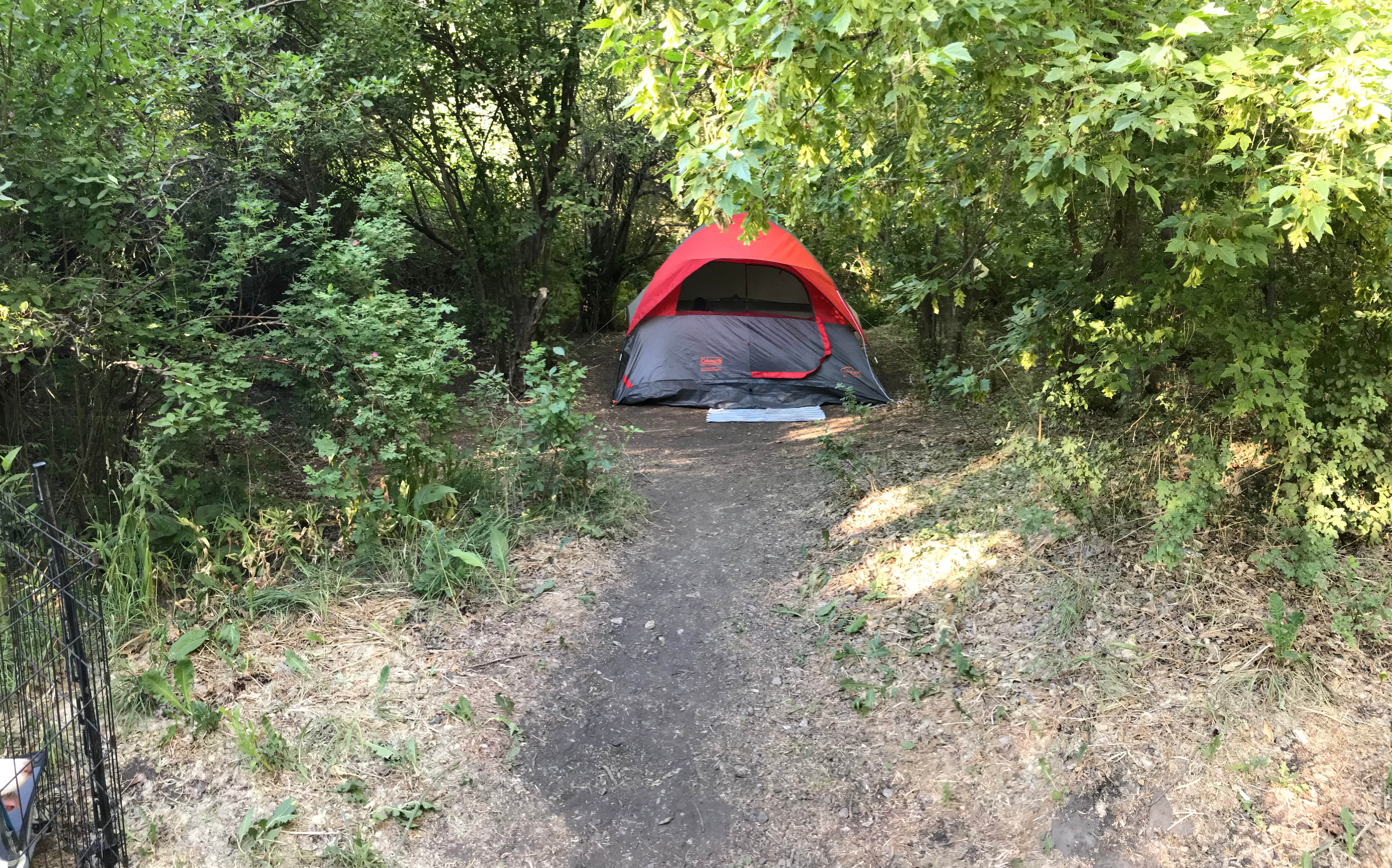 Camper submitted image from Box Elder Campground - 3