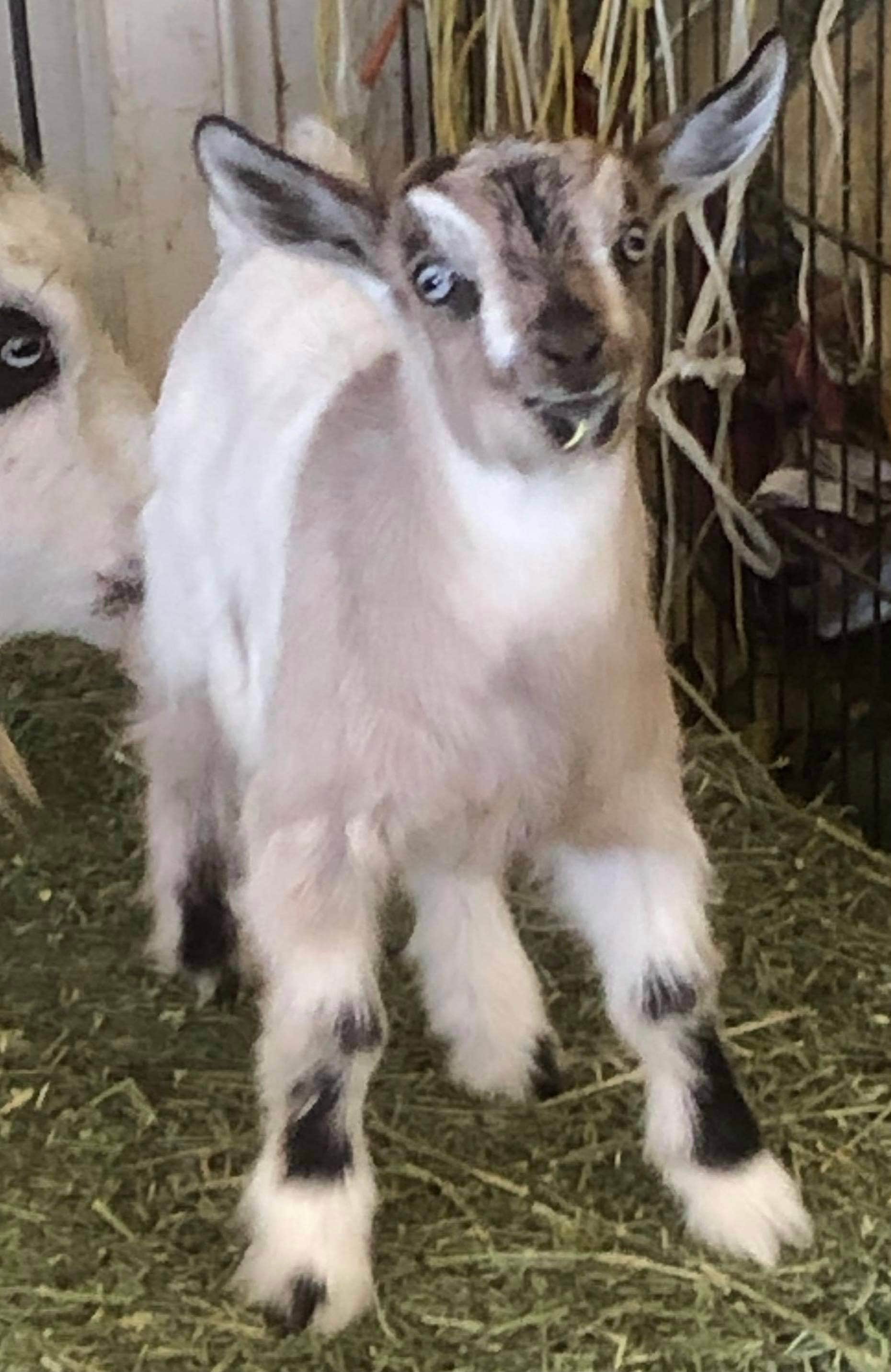 Melinda M.'s photo of camping with pets at M2 Urban RV camping - closed near Scottsdale, AZ