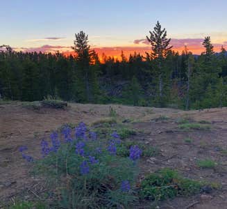 Camper-submitted photo from Wind River View Campground