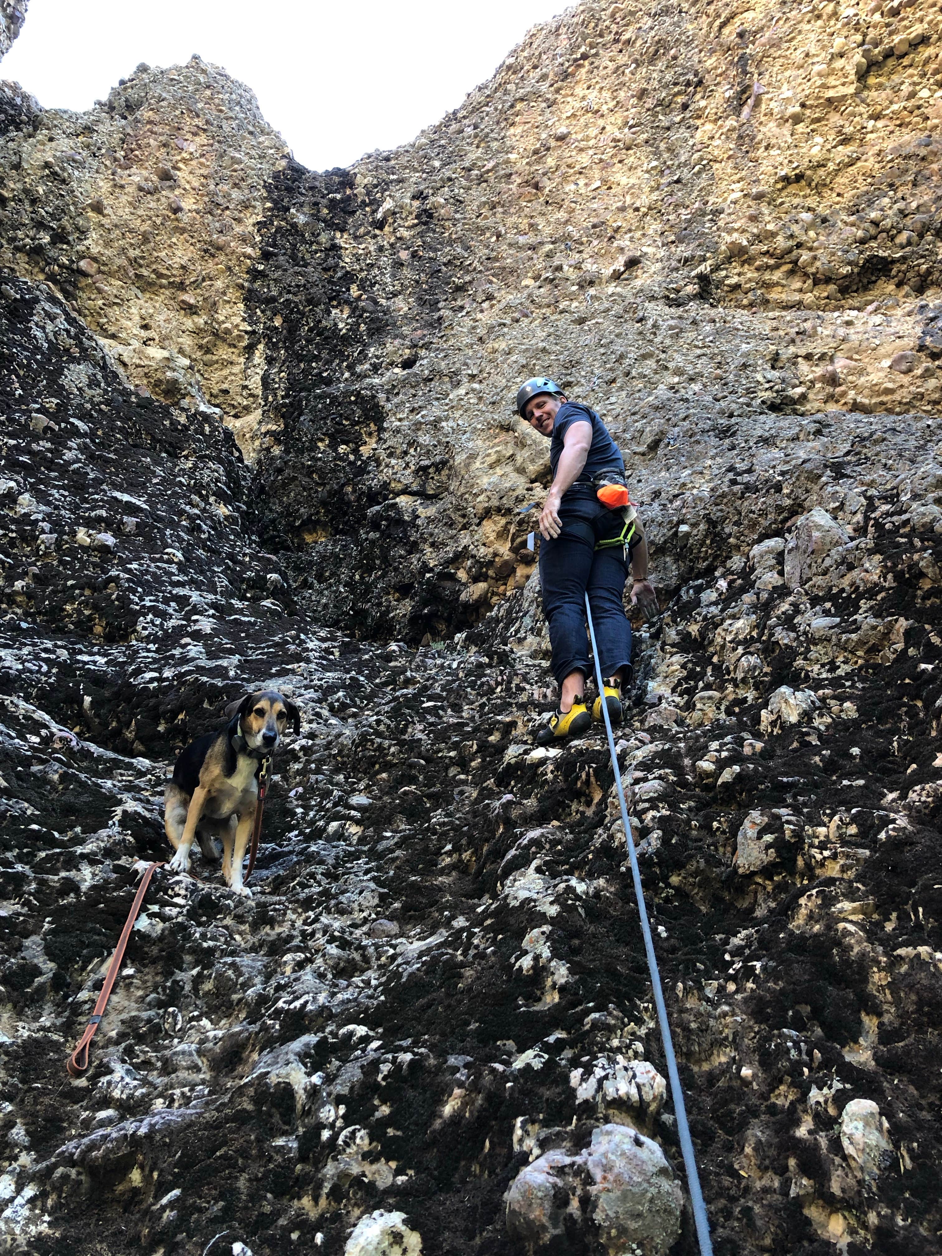 Lucy L.'s photo of camping with pets at Maple Canyon near Manti, UT