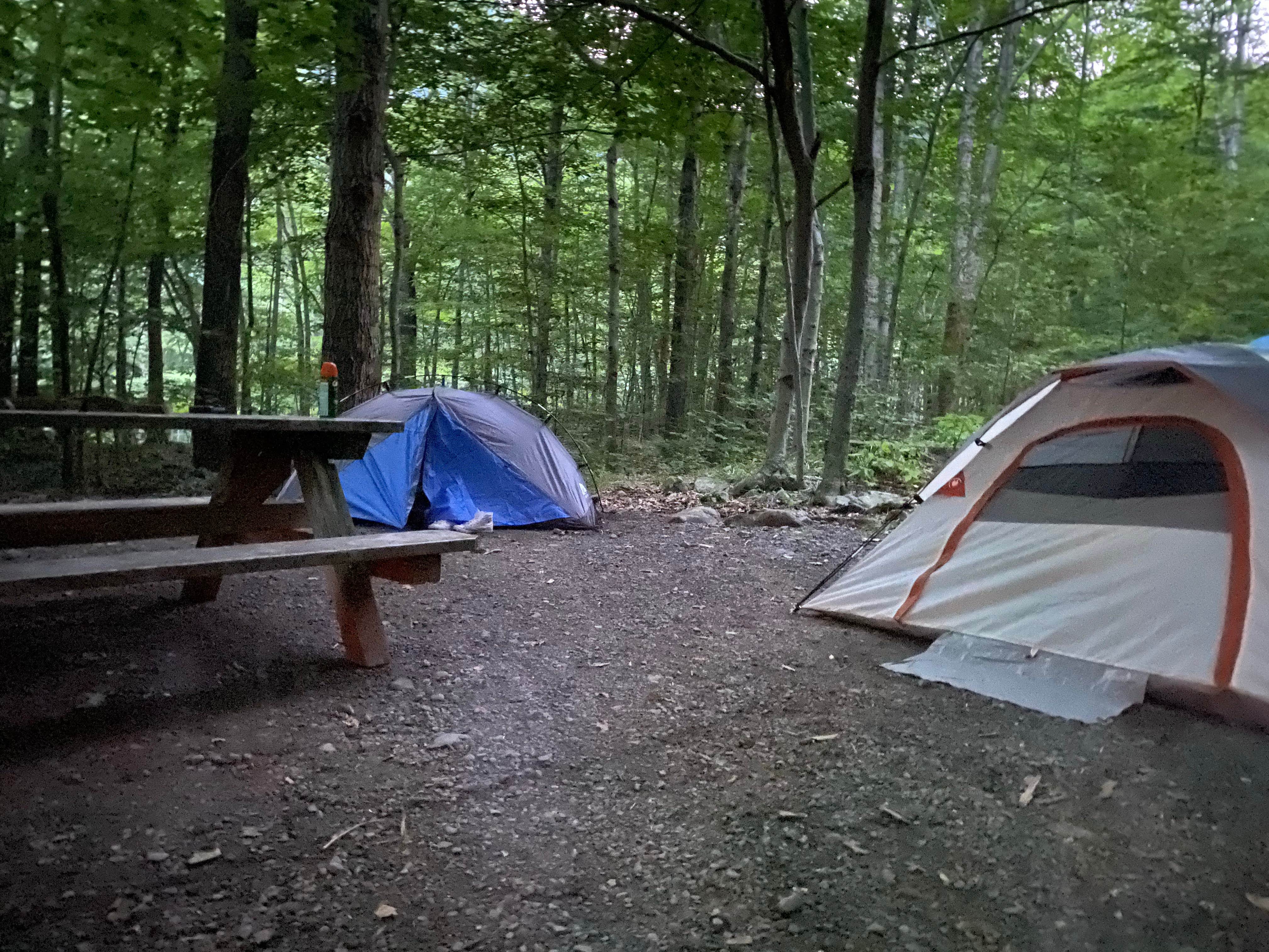 Yasmin S.'s photo at Devil's Tombstone Campground near Tannersville, NY