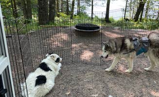 René M.'s photo of camping with pets at Two Lakes near Lake Nebagamon, WI