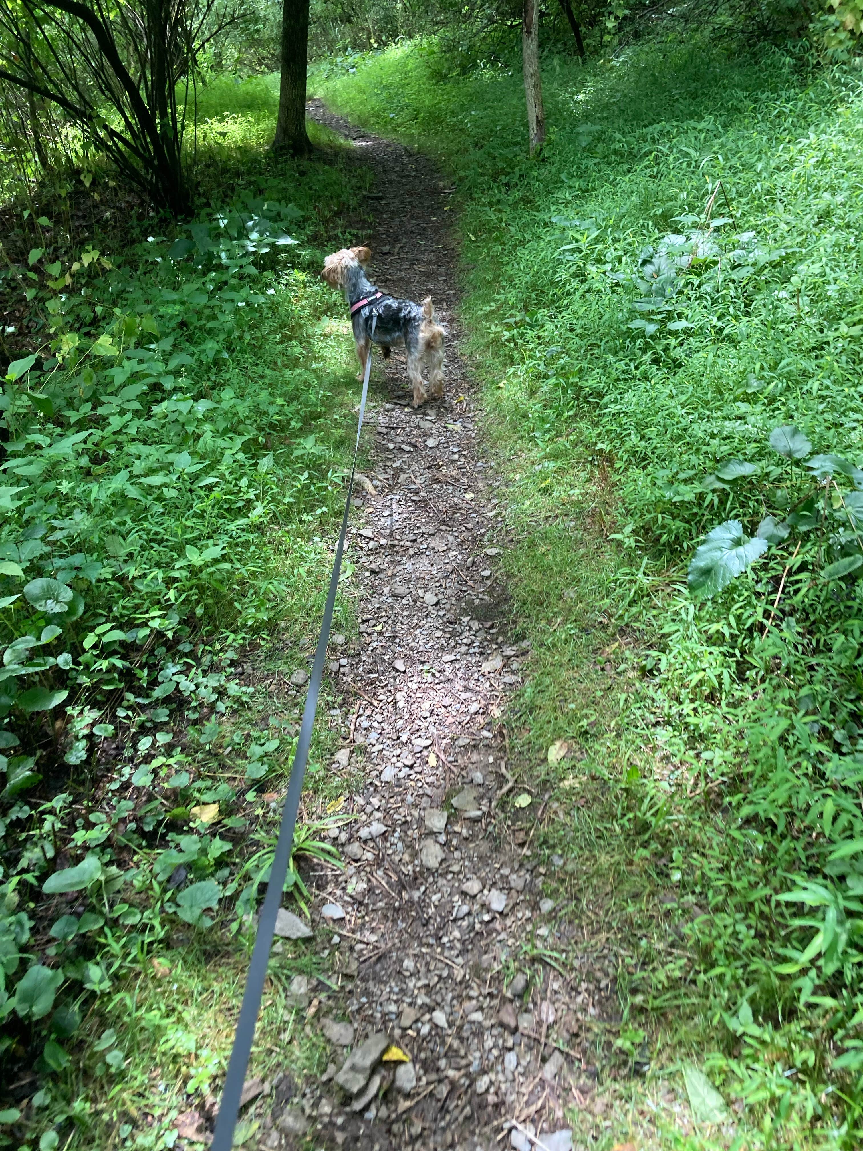 Camper-submitted photo at Allentown KOA near Slatington, PA