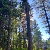Review photo of Birch Bay State Park Campground by Katie O., July 2, 2021