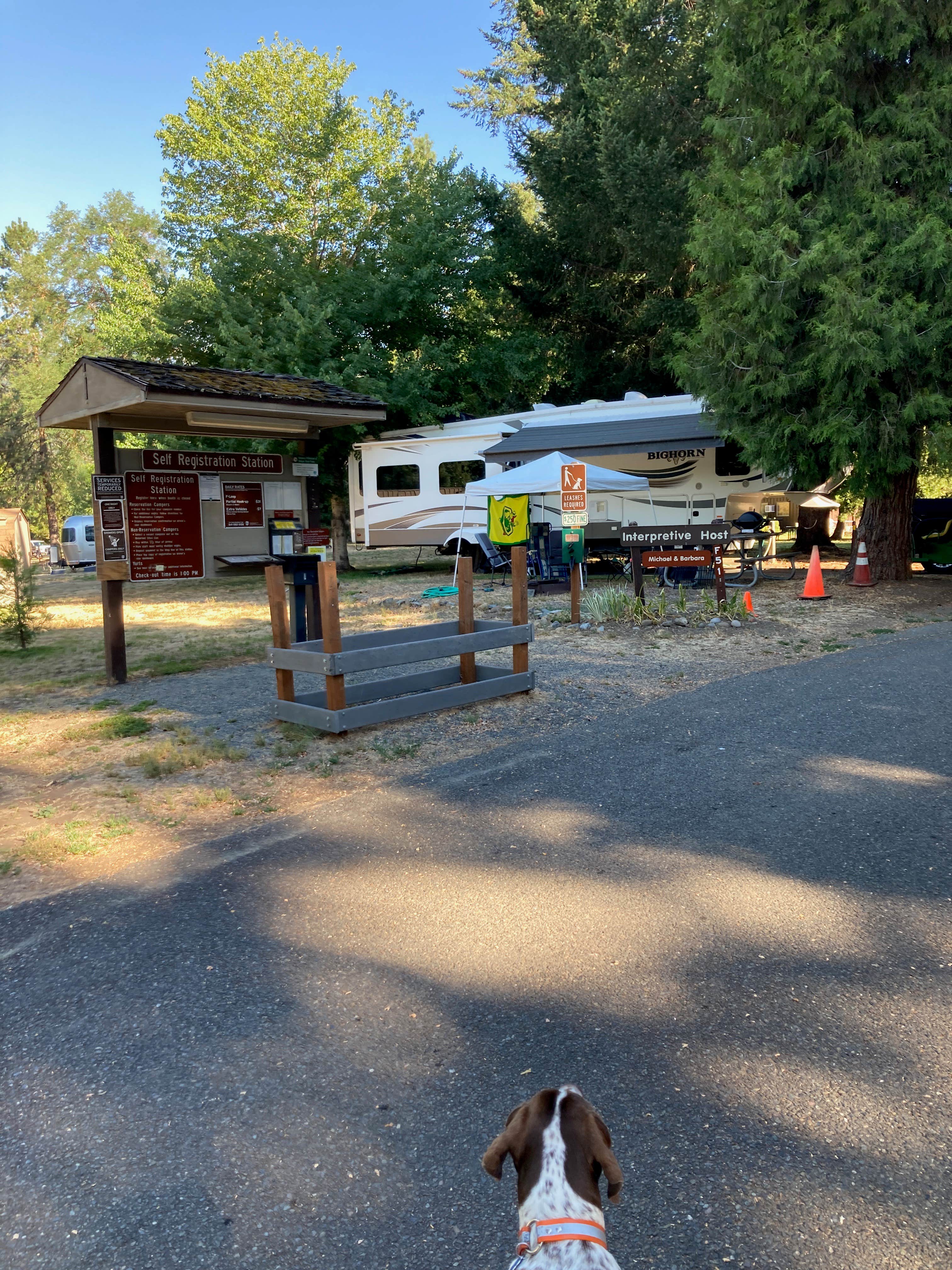 MickandKarla W.'s photo of camping with pets at Valley of the Rogue State Park Campground near Phoenix, OR