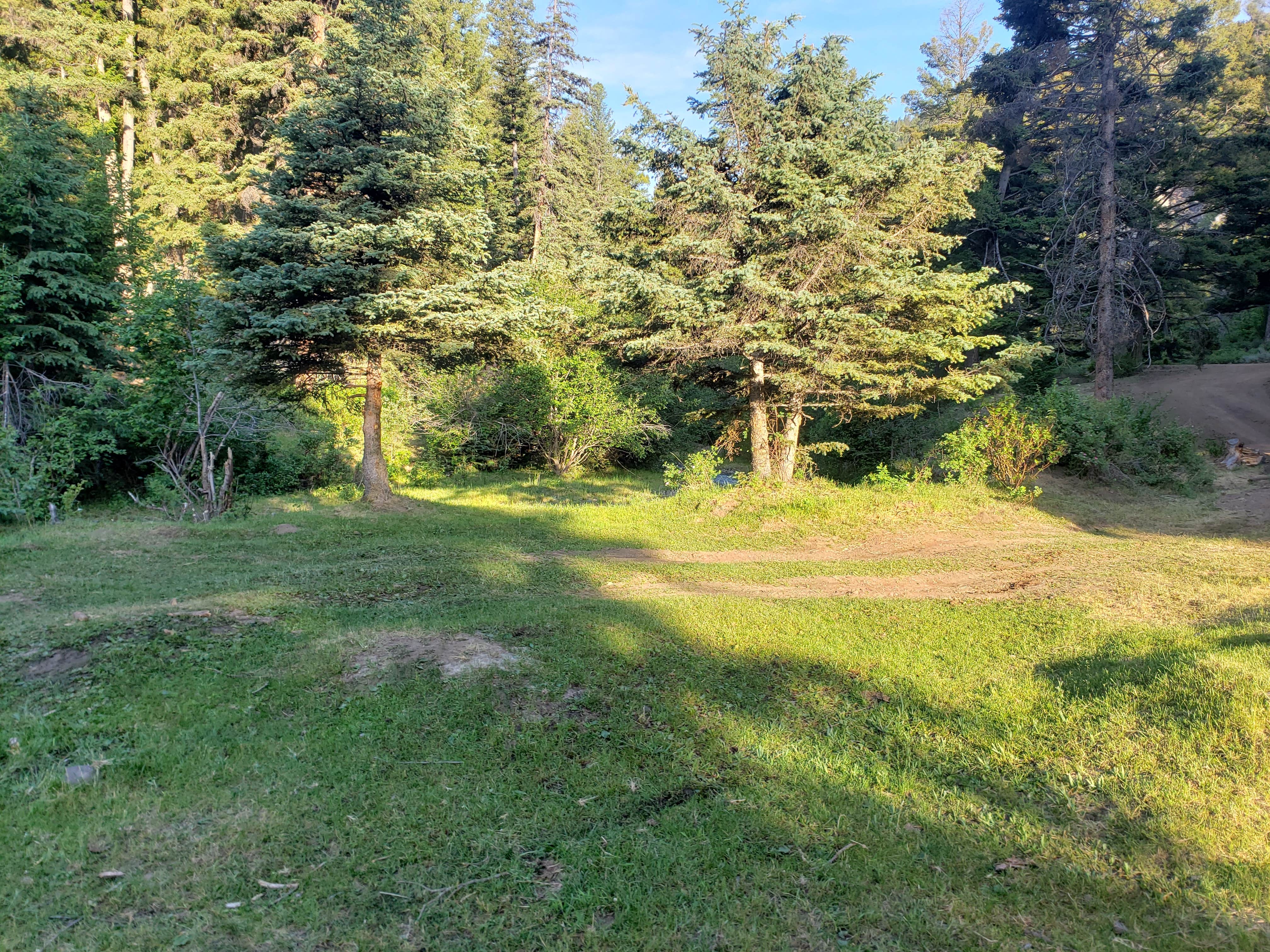 Camper-submitted photo at Pigeon Creek near Beaverhead-Deerlodge National Forest