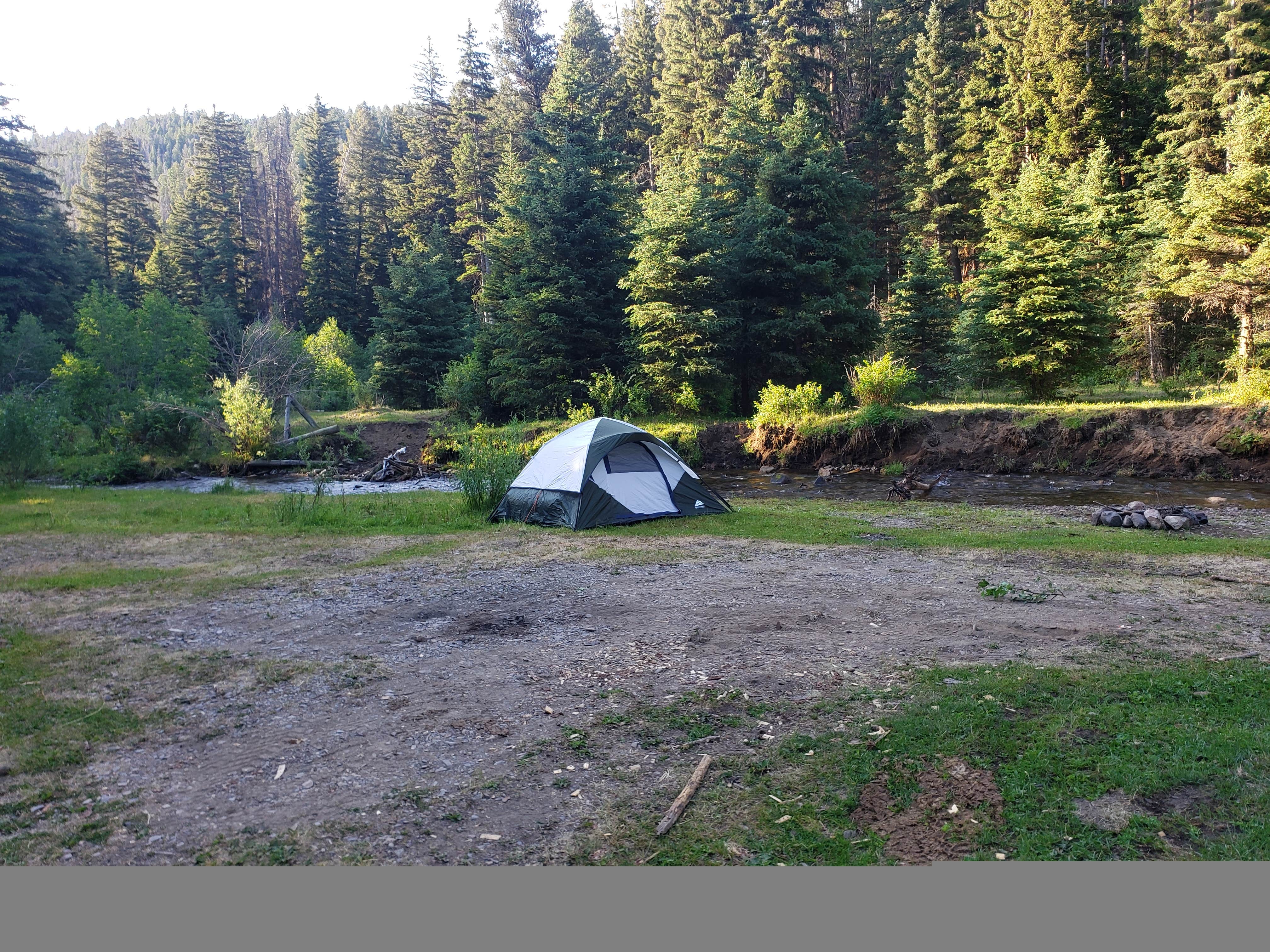 Hellrazor D.'s photo of tent camping at Pigeon Creek near Beaverhead-Deerlodge National Forest