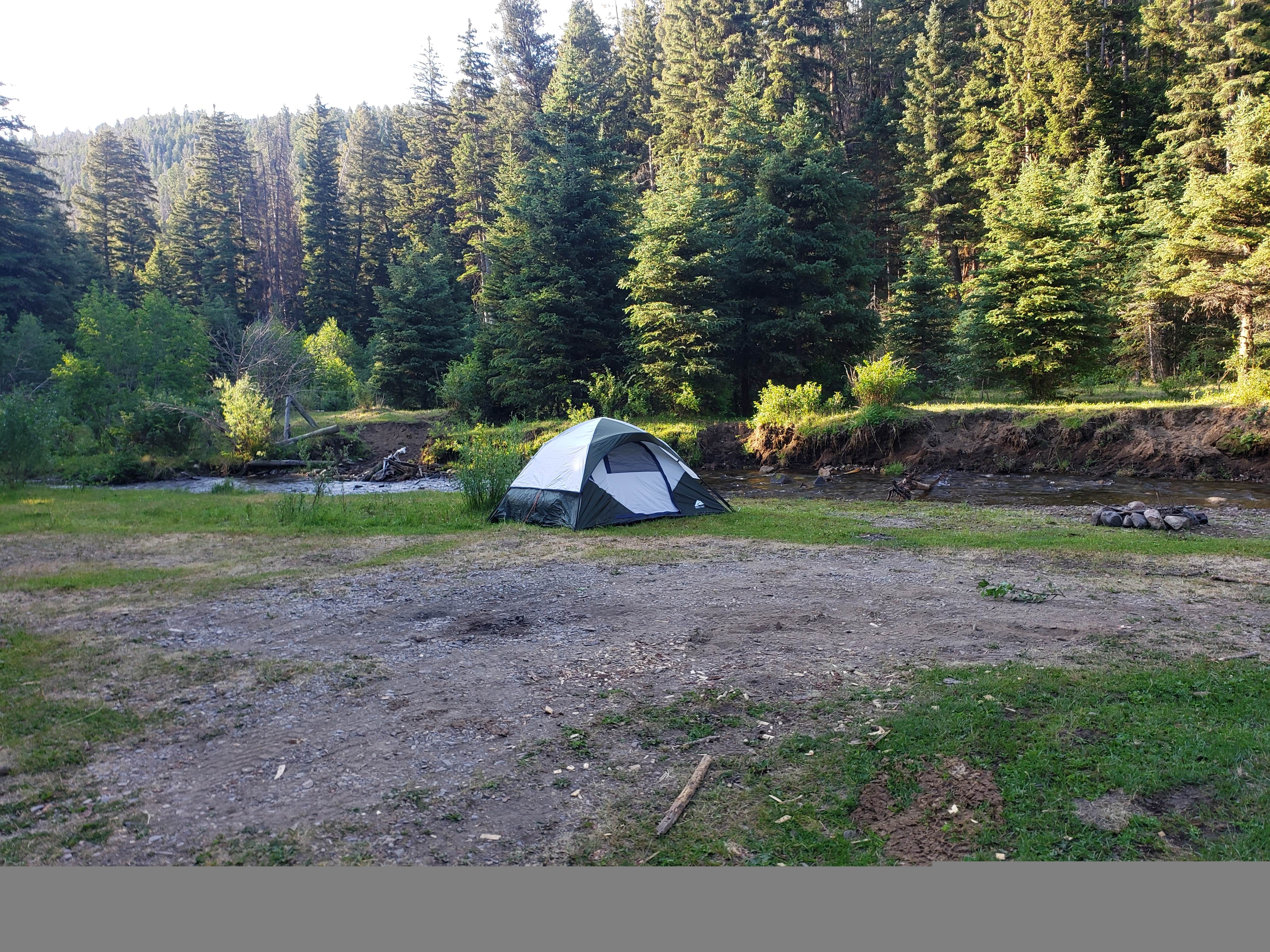 Camper submitted image from Pigeon Creek - 4