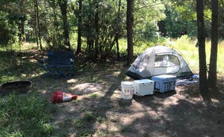 dylan O.'s photo at Fontainebleau State Park Campground near New Orleans, LA