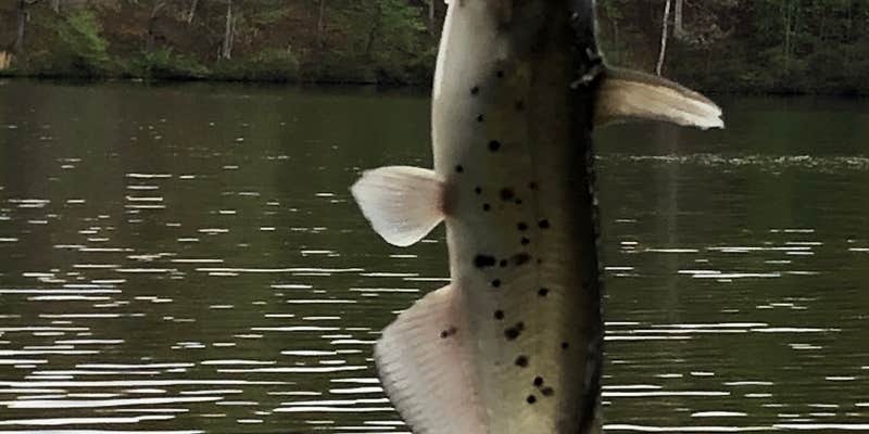 Camper submitted image from Jackson Lake State Park Campground