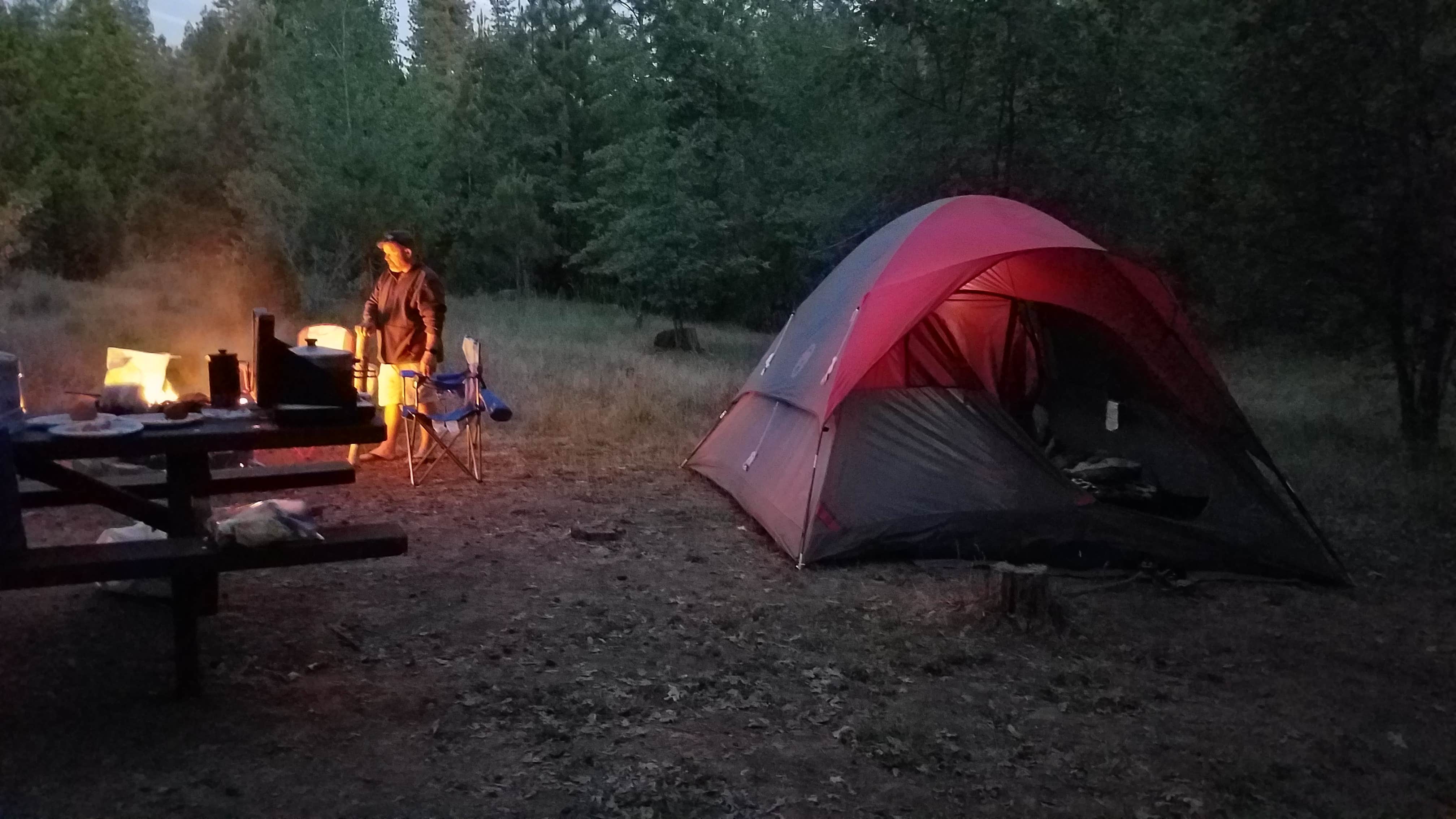 Camper submitted image from Pines Campground Stanislaus — Stanislaus National Forest - 1