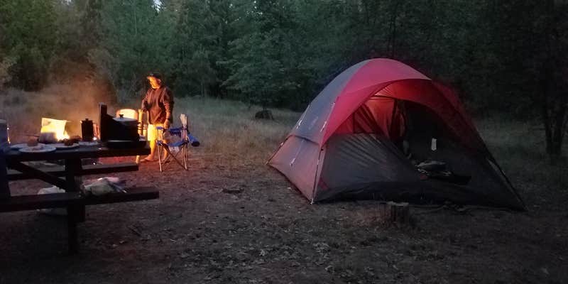 Camper submitted image from Pines Campground Stanislaus — Stanislaus National Forest