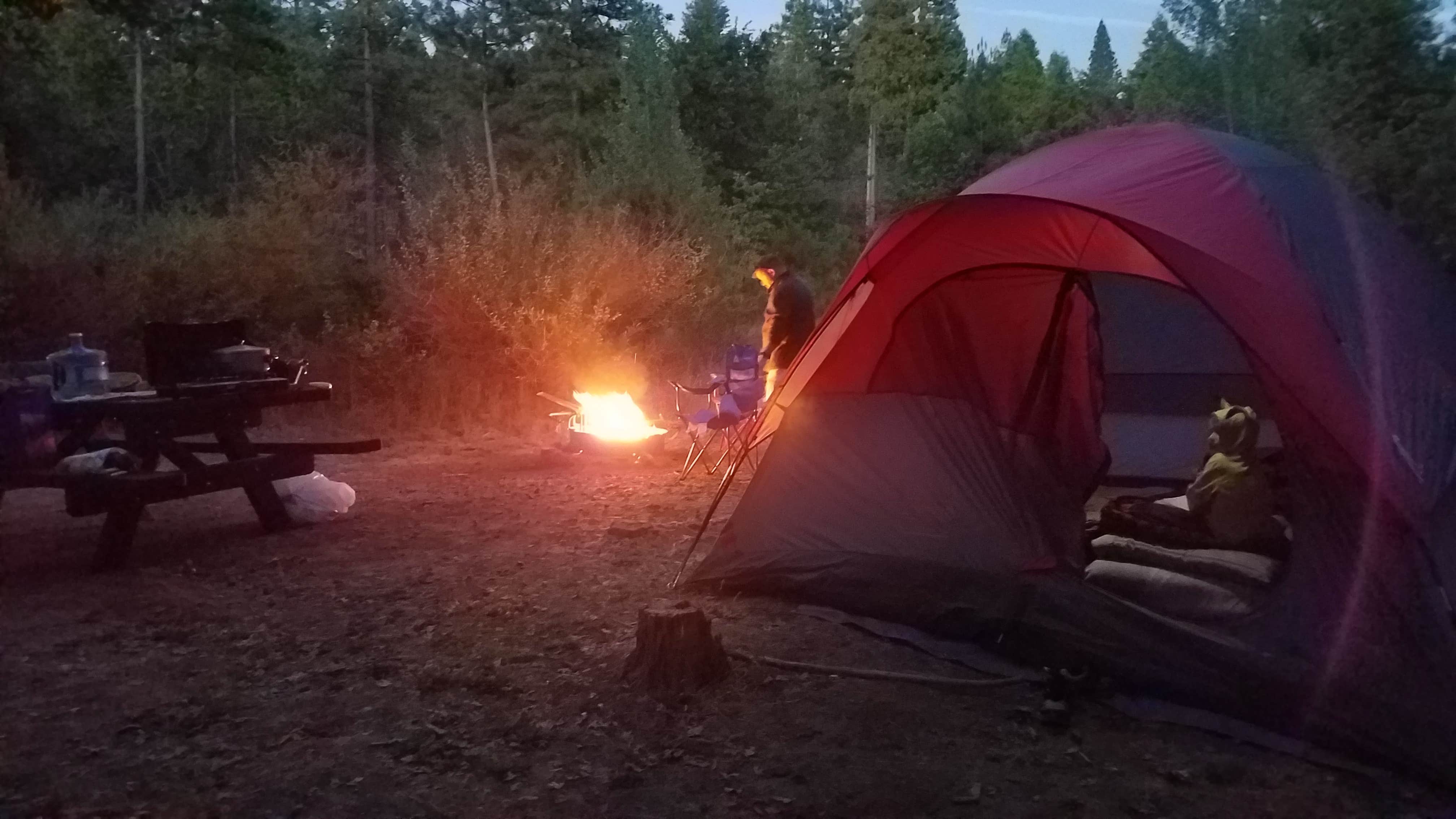 Camper submitted image from Pines Campground Stanislaus — Stanislaus National Forest - 4