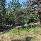 Review photo of Picnic Spring Campground by Julie D., July 3, 2021