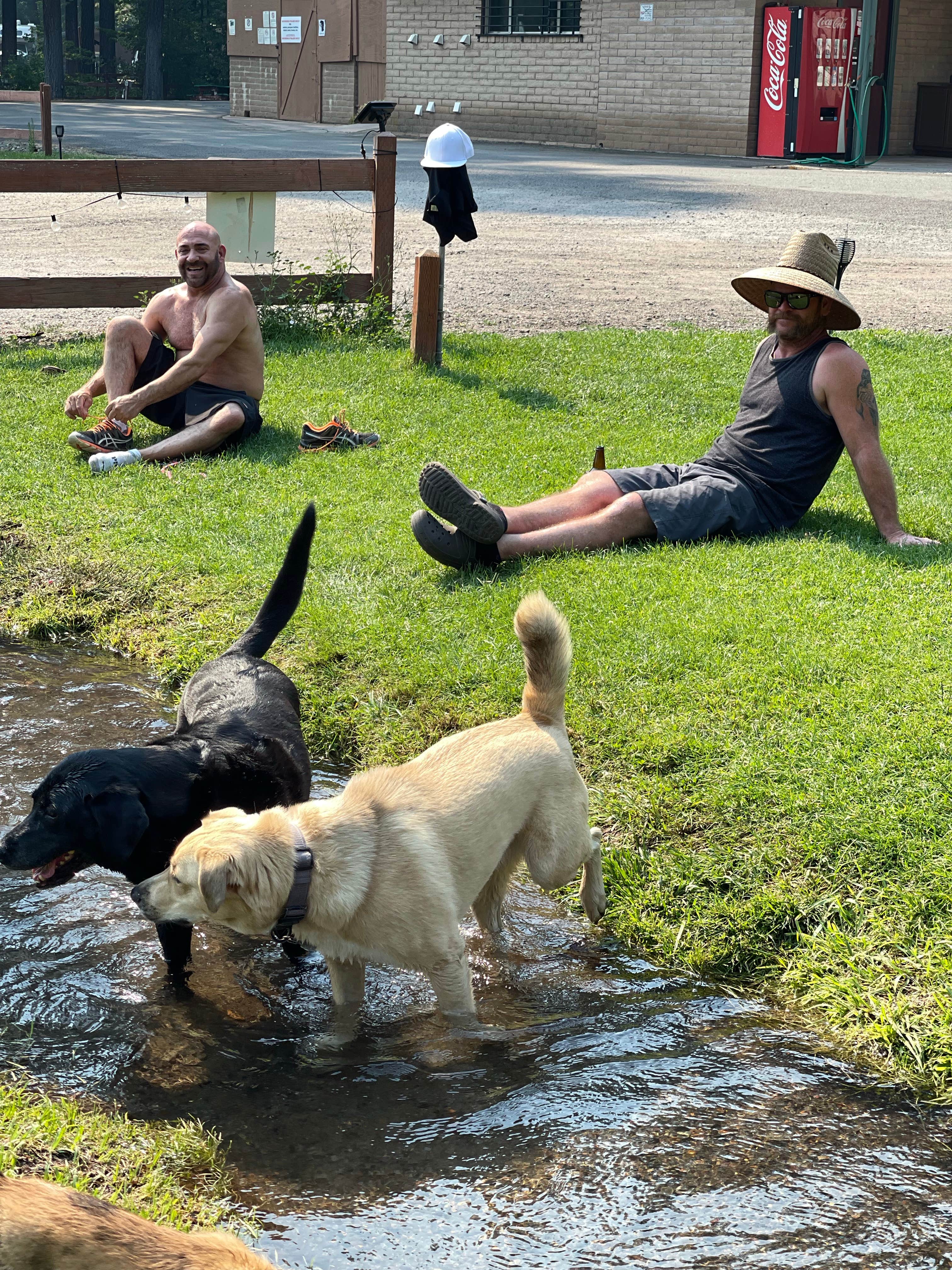 Camping near Panther Meadows Campground: McCloud RV Resort, McCloud, California