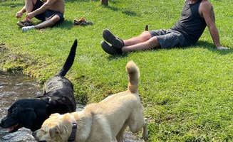 Angie R.'s photo of camping with pets at McCloud RV Resort near McCloud, CA