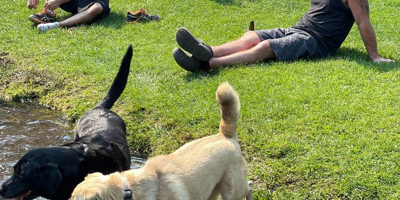 Camper submitted image from McCloud RV Resort