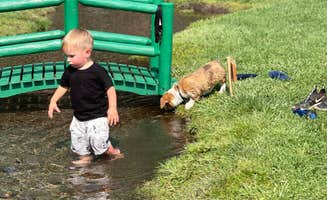 Angie R.'s photo of camping with pets at McCloud RV Resort near Mount Shasta, CA