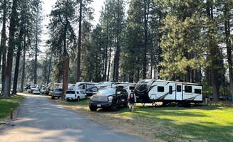 Angie R.'s photo of rv camping at McCloud RV Resort near Cassel, CA