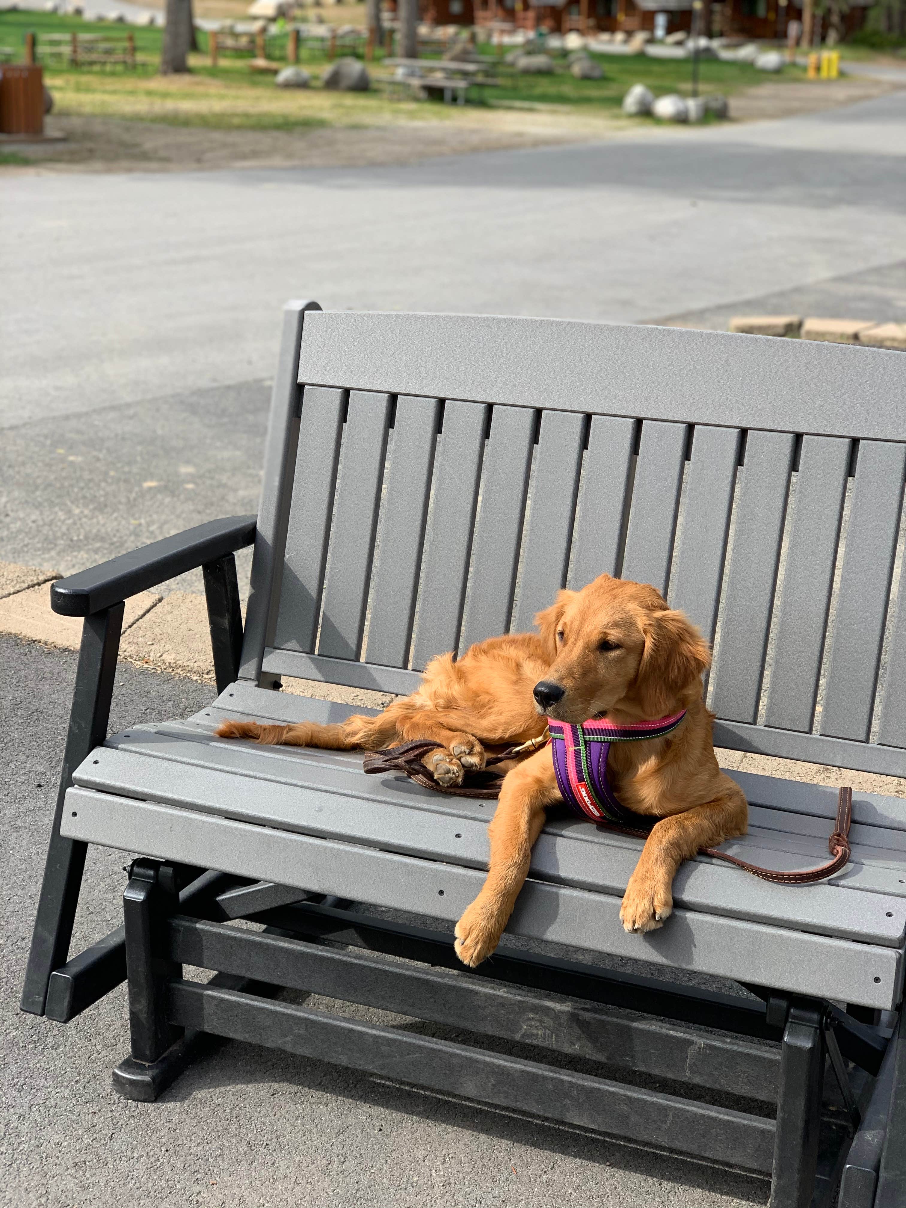 Camper-submitted photo at Leavenworth-Pine Village KOA near Leavenworth, WA