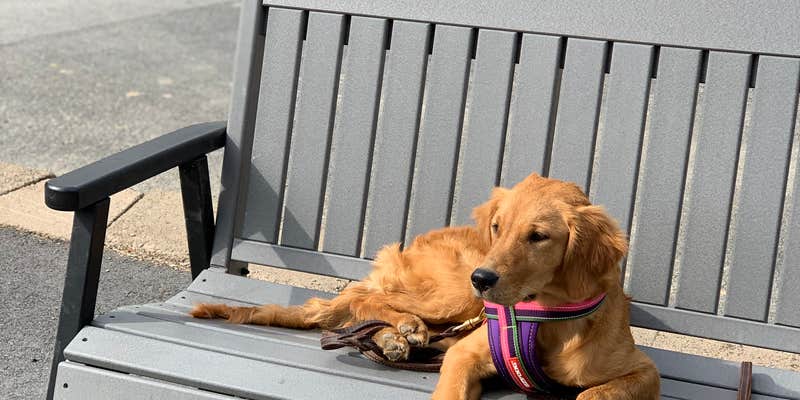 Camper submitted image from Leavenworth-Pine Village KOA