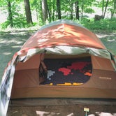 Review photo of Northern Lights Campground — Devils Lake State Park by Andrea G., June 12, 2018