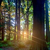 Review photo of Birch Bay State Park Campground by Jennifer H., July 3, 2021