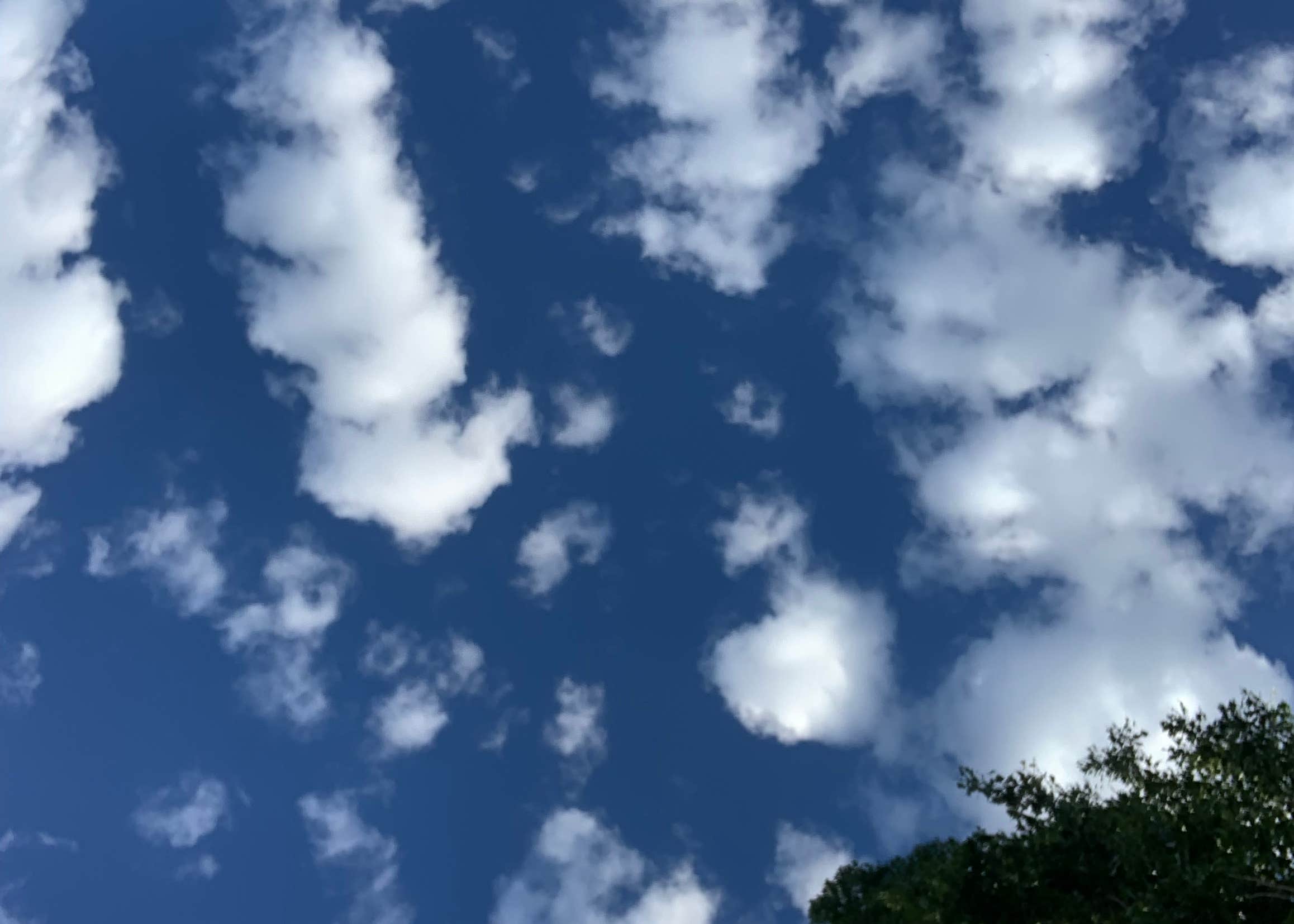 Fishermans Cove RV Park Camping The Dyrt