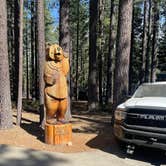 Review photo of Tahoe Valley Campground by Angela C., July 3, 2021