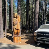 Review photo of Tahoe Valley Campground by Angela C., July 3, 2021