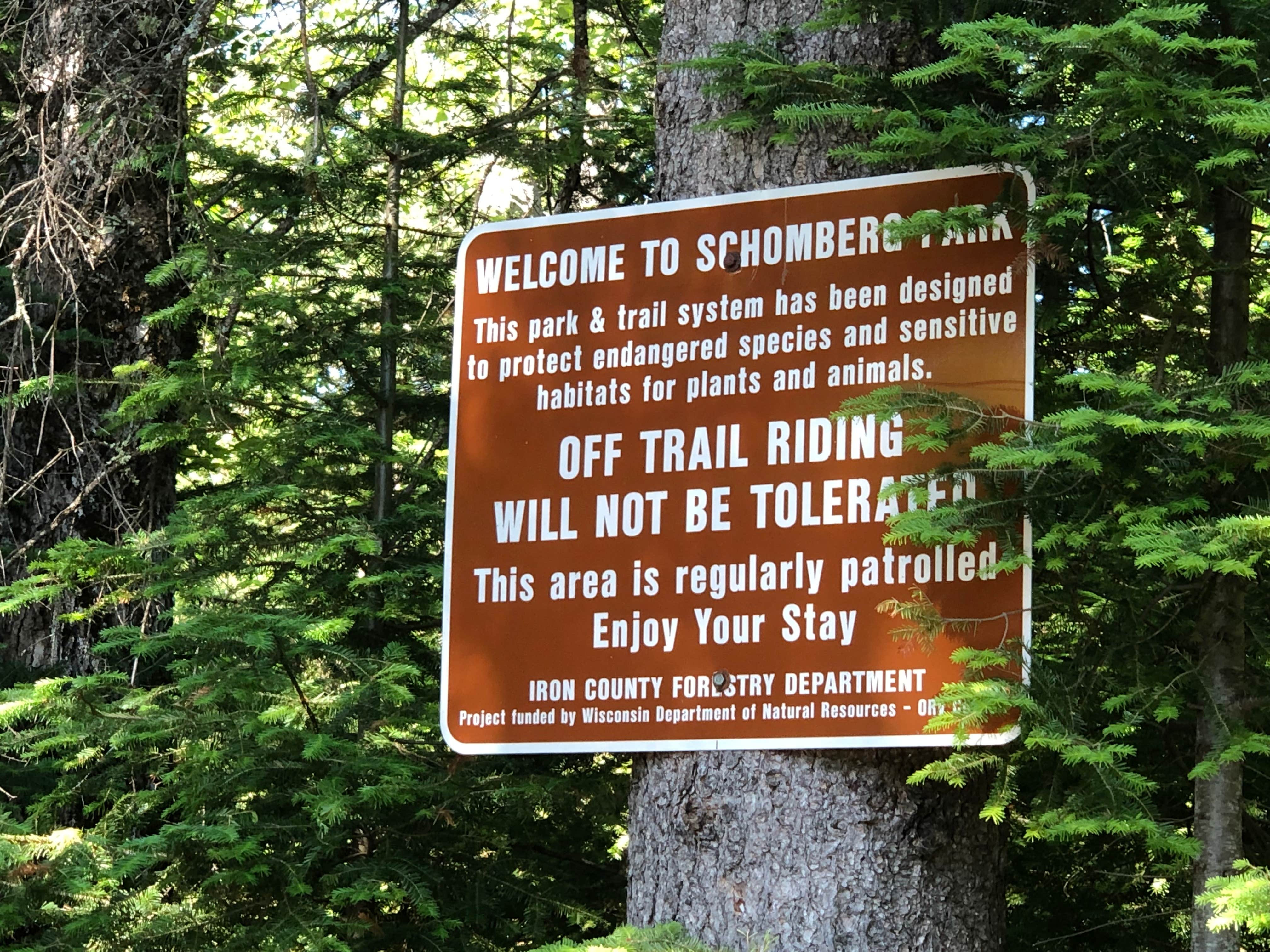 Camper submitted image from Schomberg Park - 3